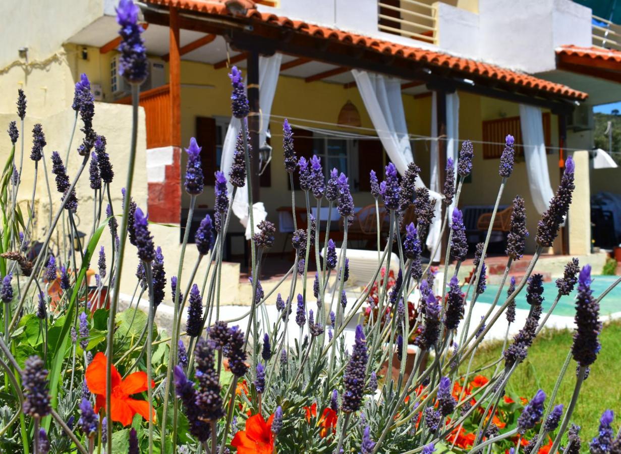 Villa Krini Skiathos-stad Buitenkant foto