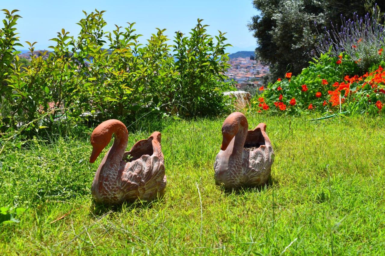 Villa Krini Skiathos-stad Buitenkant foto