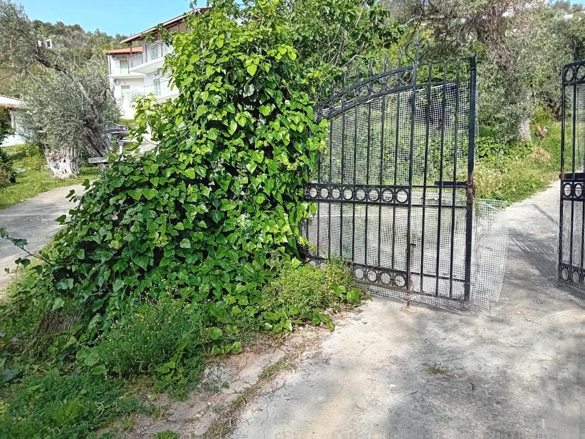 Villa Krini Skiathos-stad Buitenkant foto